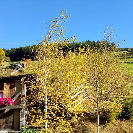 Pension Verdinserhoehe Schenna Buitenkant foto